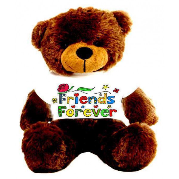 Brown 2 feet Big Teddy Bear wearing a colorful Friends Forever T-shirt
